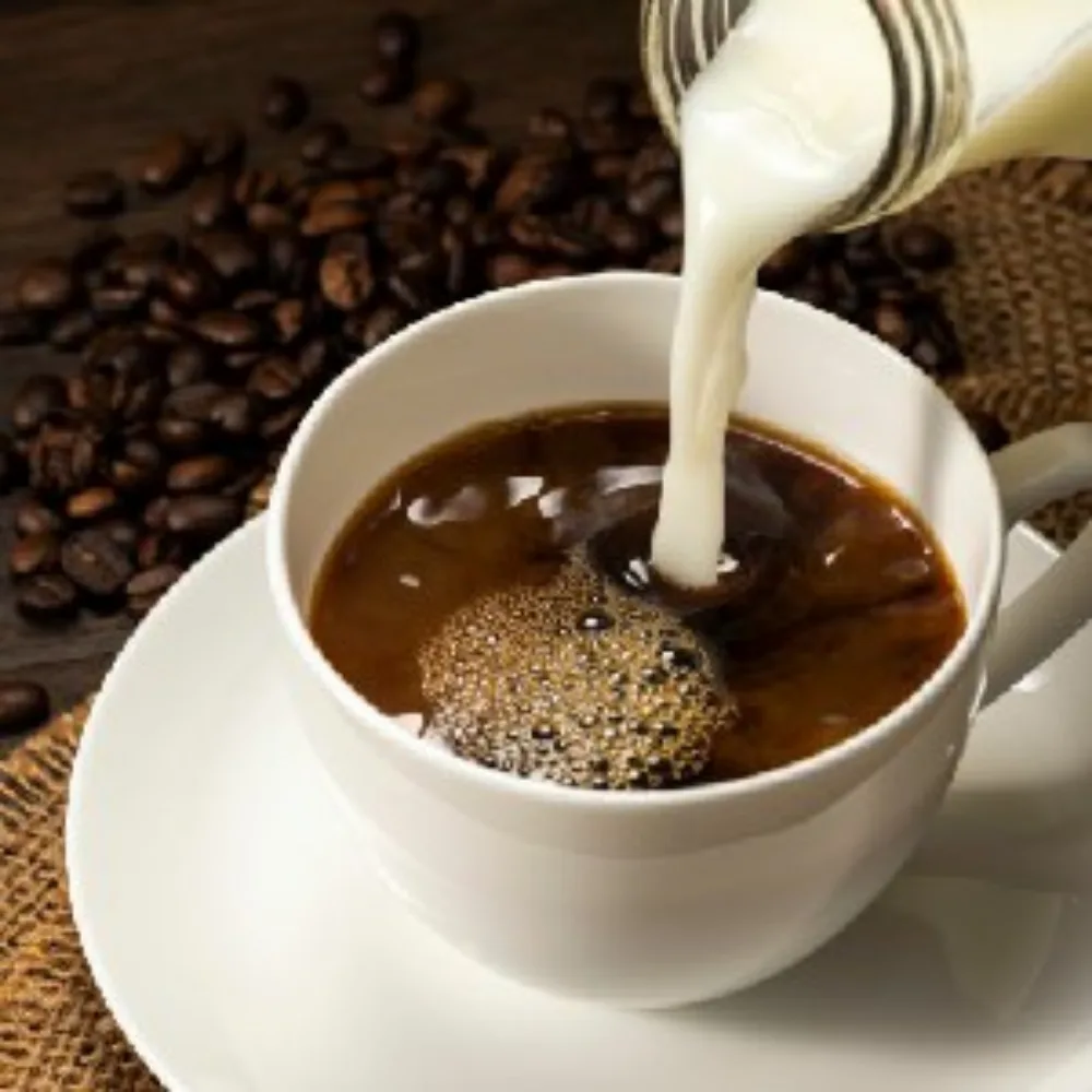 Sütlü Kahve