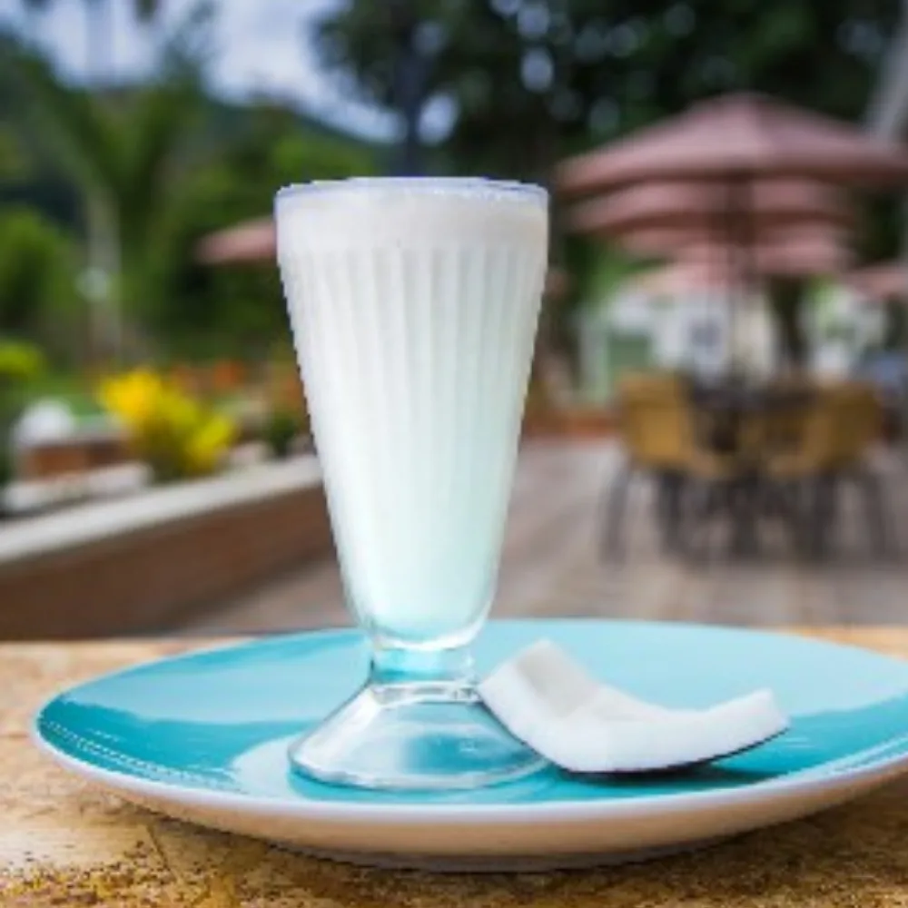 Hindistan Cevizi Milkshake