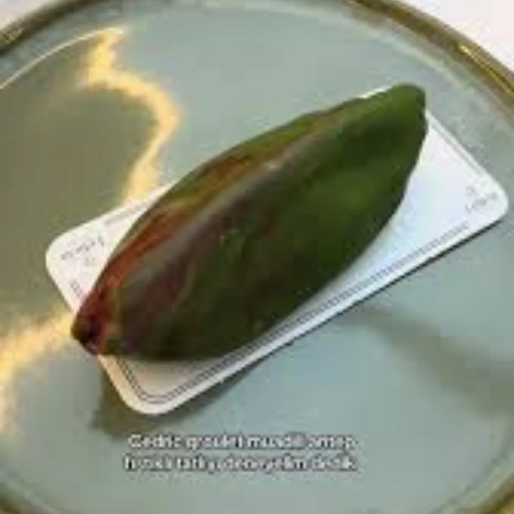 Cedric Grolet Antep Fıstığı